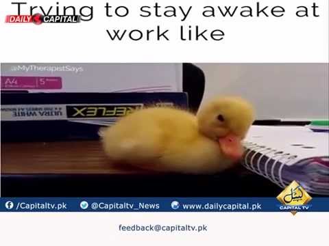 staying awake at work