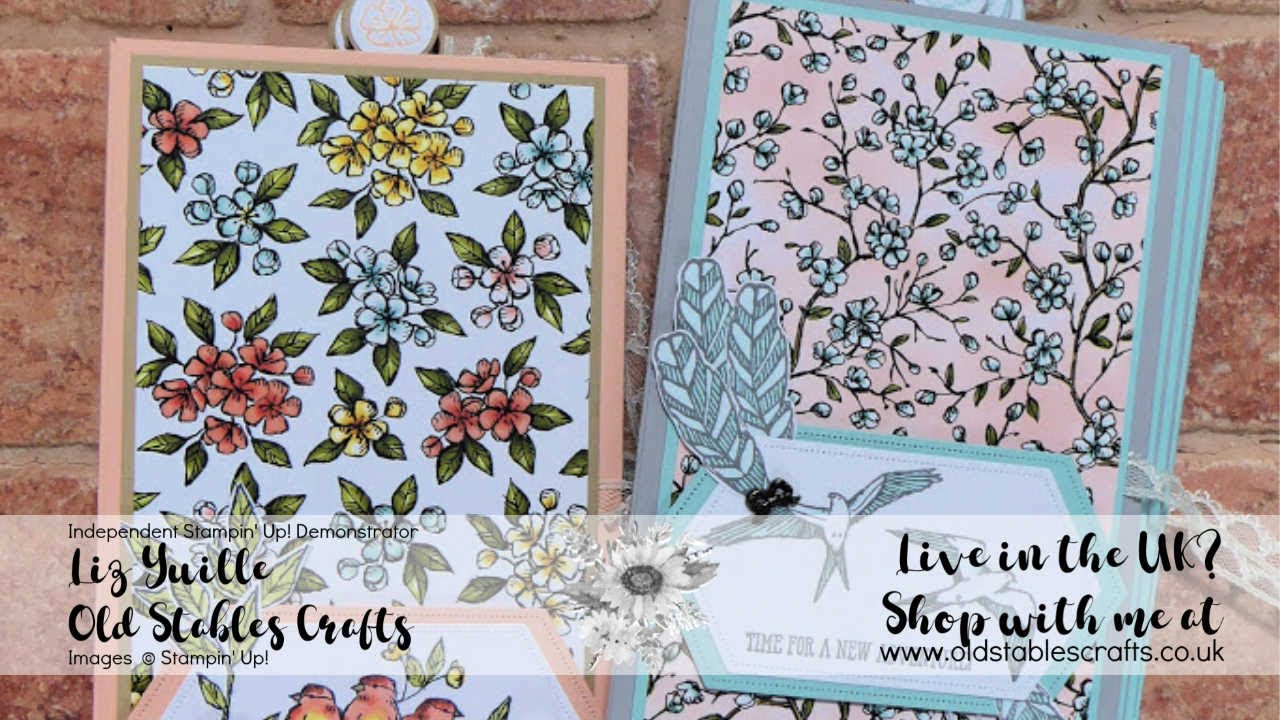 Bird Ballad Mini Album ‘Creativity in a Box’