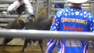 PBR Michigan 2010