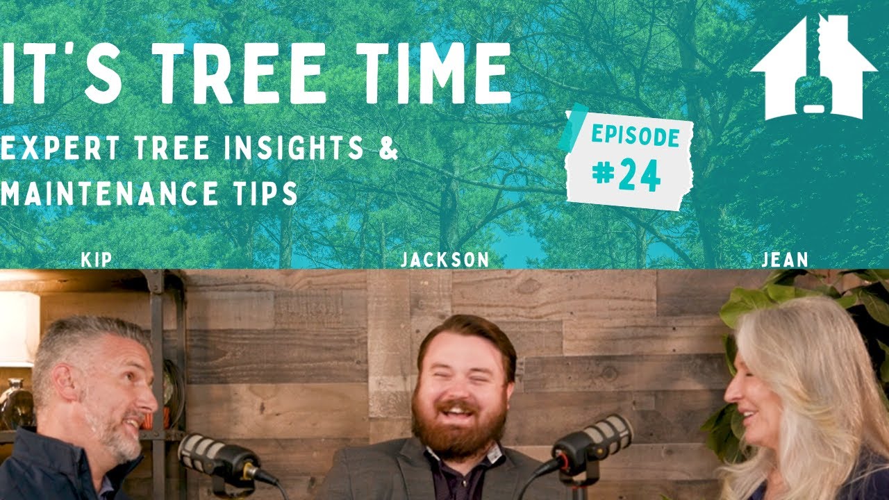 Tree Talk: Boost Property Value With Expert Tree Insights - YouTube