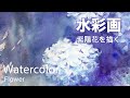 Watercolor Hydrangea Painting - 紫陽花を描く 水彩画 張学平