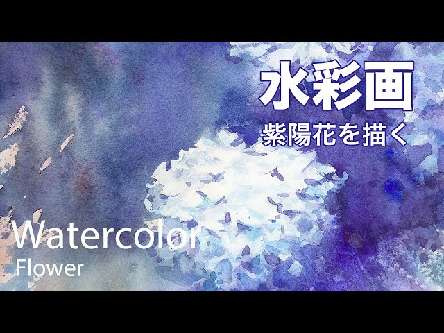 Watercolor Hydrangea Painting - 紫陽花を描く 水彩画 張学平 - YouTube