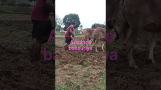 Maurya vansh Thakur Munda banswada