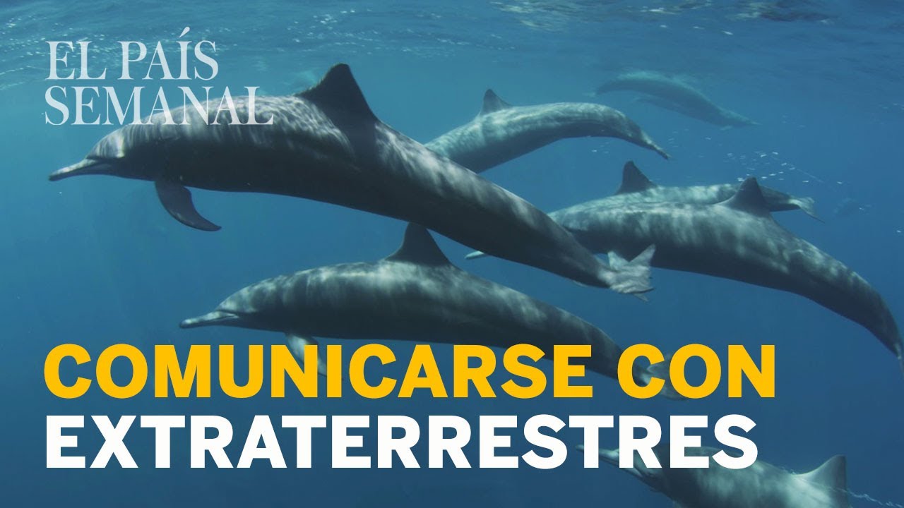 Cómo comunicarse con EXTRATERRESTRES| Ciencia sin ficción | El País Semanal periodicos de honduras