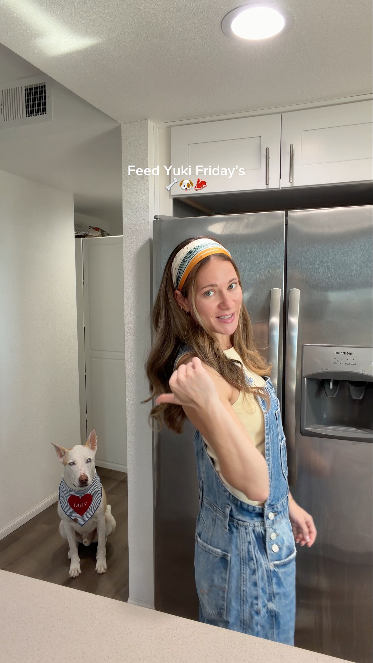 What should I feed Yuki today🦴🐶 #dogshorts #dog #pets #dogmom