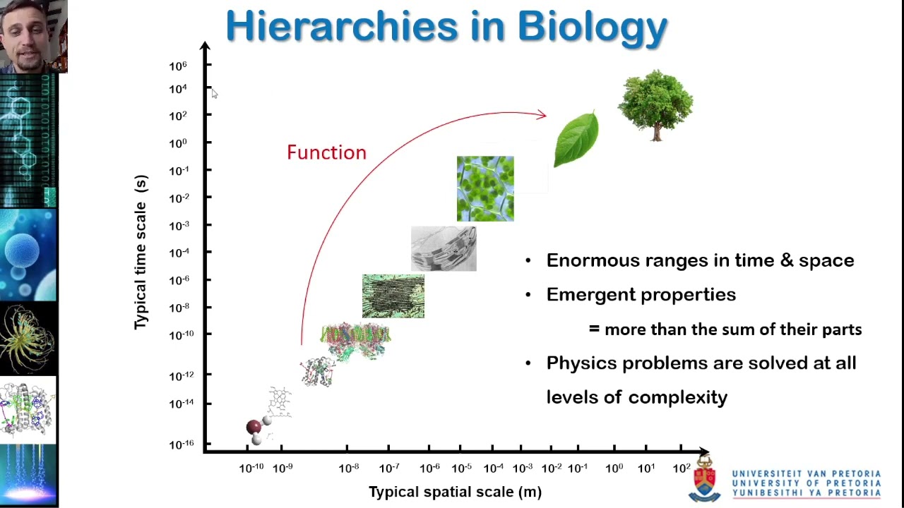 Introduction to Biophysics (for physicists) by Prof. Tjaart Krüger
