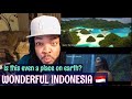 IS THIS COUNTRY EVEN ON EARTH ? Wonderful Indonesia : Emerald of the Equator (reaction)