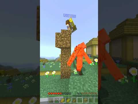見てはいけない現場をみてしまった… #minecraft #マイクラ