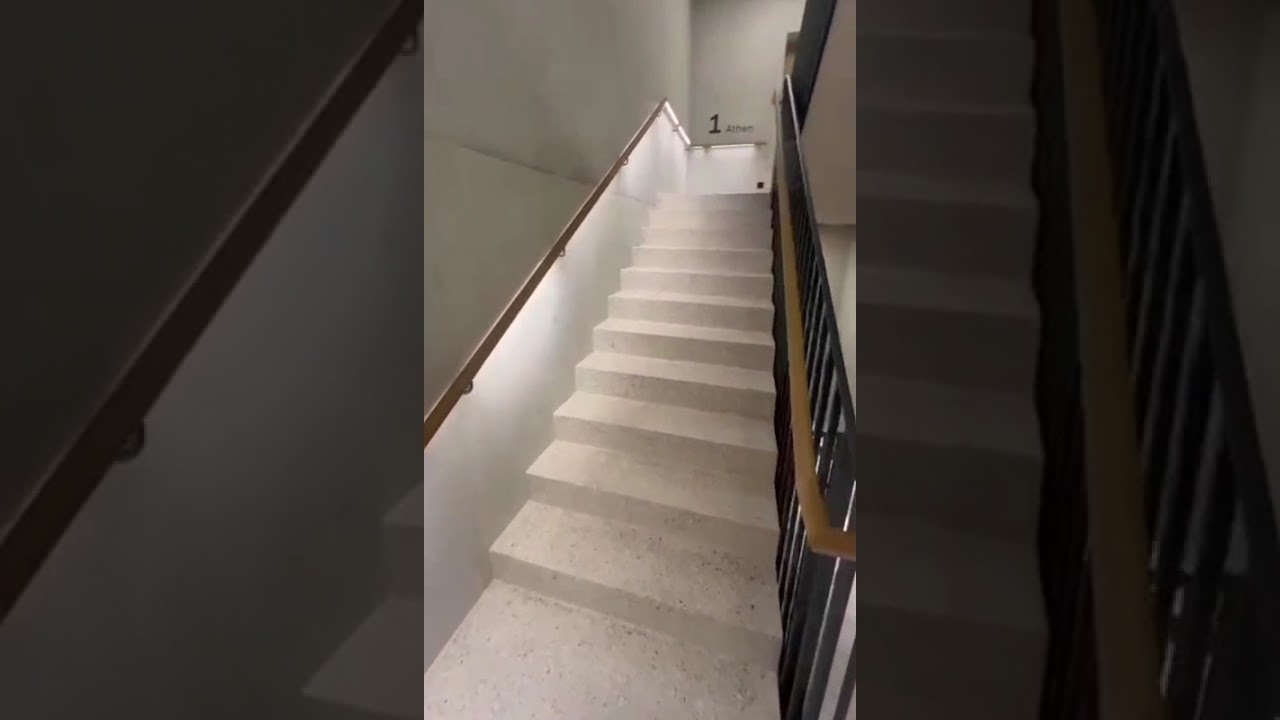 Video Bornapark Handlauf