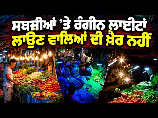 ਸਬਜ਼ੀਆਂ ’ਤੇ ਰੰਗੀਨ ਲਾਈਟਾਂ ਲਾਉਣ ਵਾਲਿਆਂ ਦੀ ਖ਼ੈਰ ਨਹੀ, ਰੇਹੜੀ ਲਾਉਣ ਵਾਲੇ ਹਰ ਬੰਦੇ ਤੱਕ ਪਹੁੰਚ ਦਿਓ ਆਹ ਵੀਡੀਓ