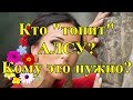 Кто "топит" АЛСУ. Кому это нужно и что из этого получится.