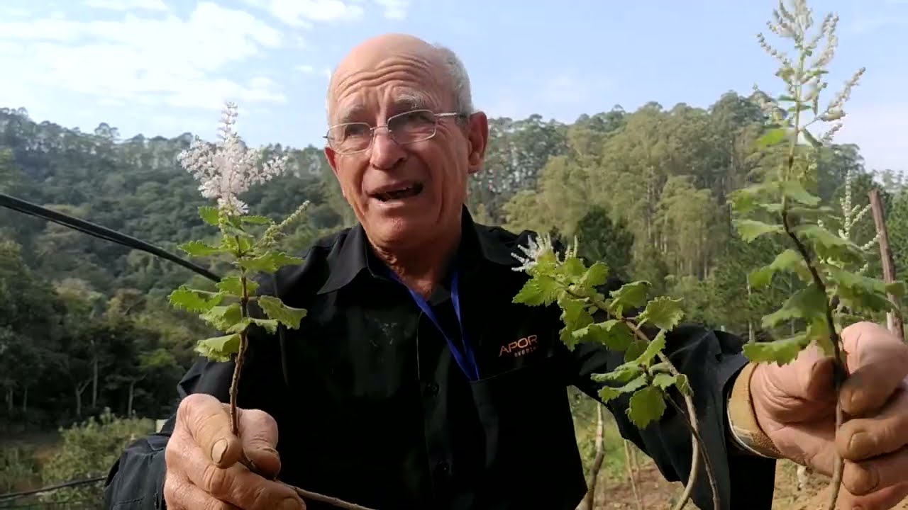Falsa Mirra com Mario Terlechi, Horta e Natureza