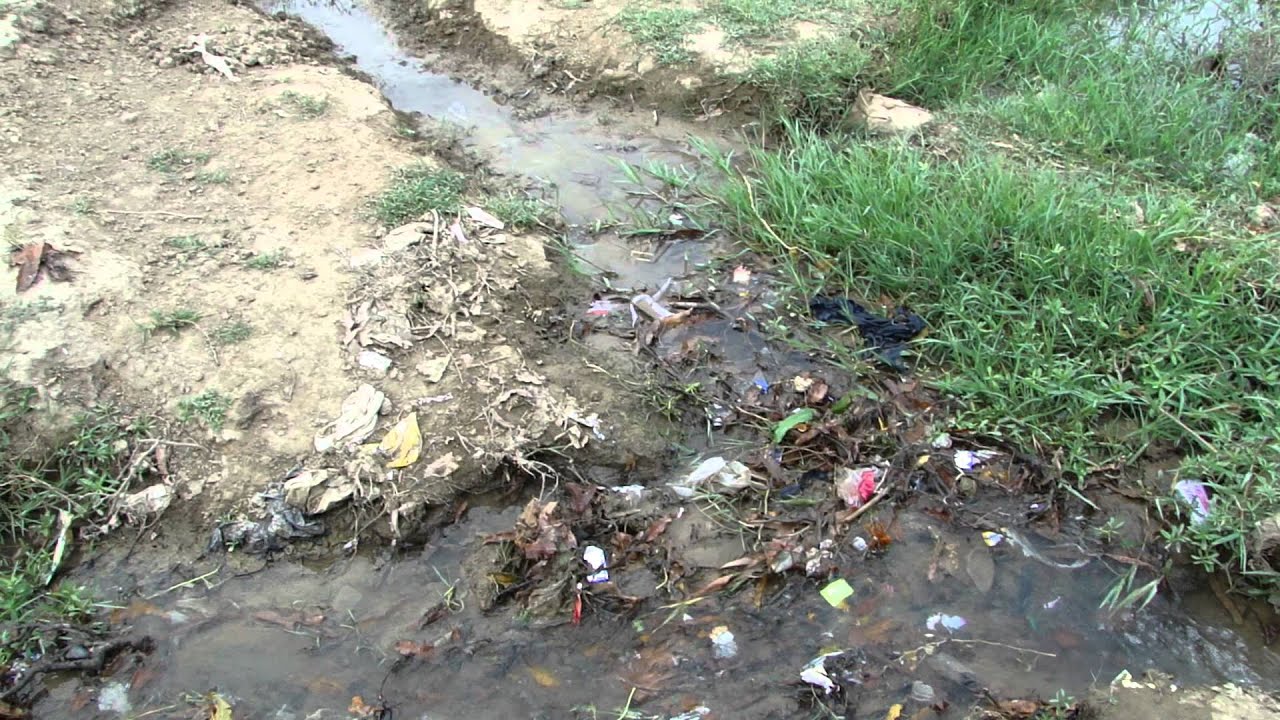 Tihar Lake. Hari Nagar, West Delhi YouTube