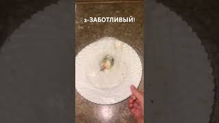 Заботливый чей то будущий муж🤣🤪