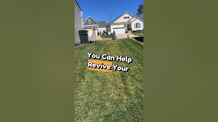 Revive Your Dormant Fescue Lawn #shorts