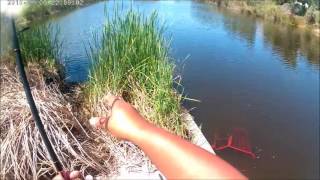 4 28 2017 San Diego River Fishing
