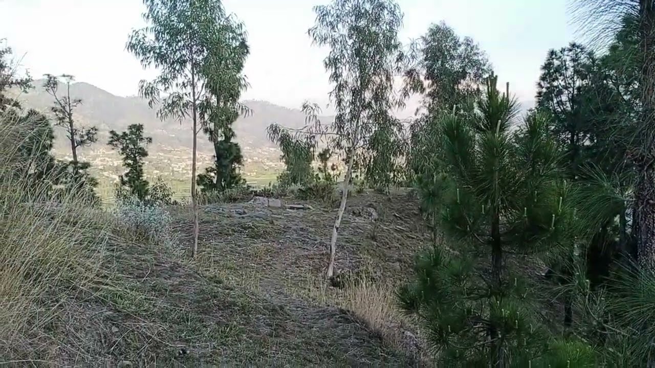 wadi e siran pakhli mansehra!سرن ویلی اچہڑیاں مانسہرہ ہزارہ