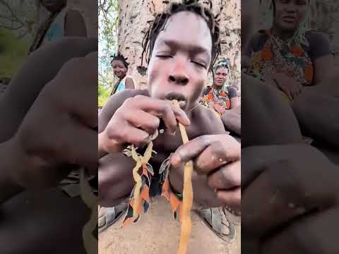 Funny Usa Village Foryoupage Cooking Foodlover Food Hadzabetribe Dudukwe