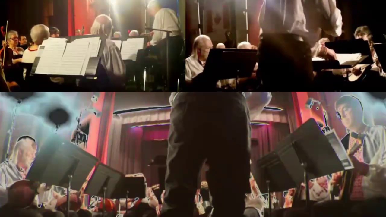 WINNIPEG MANDOLIN ORCHESTRA "Flatbush Waltz" A MAY 13 2017