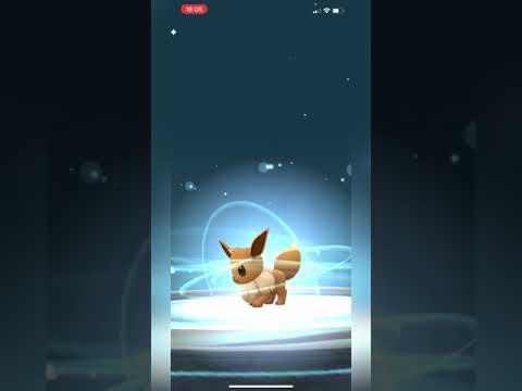 HOW TO EVOLVE EEVEE INTO SYLVEON IN POKEMON GO! Eevee into Sylveon