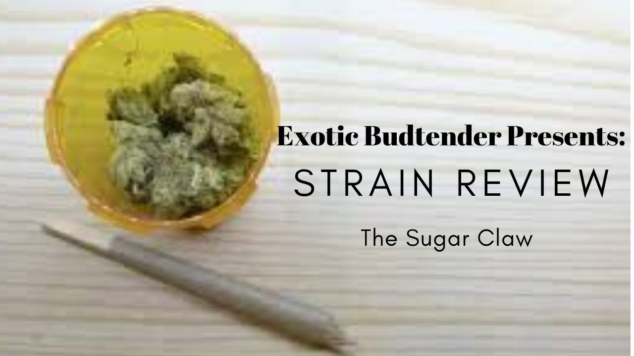 Exotic Budtender Strain Review: The Sugar Claw By Skord