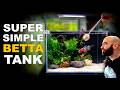 Comment Créer Son Premier Aquarium Pour Poisson Betta TUTORIEL D AQUASCAPE FACILE ÉTAPE PAR ÉTAPE mp3