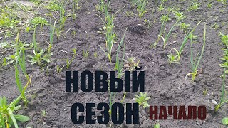 Начало дачного сезона.  Вступление