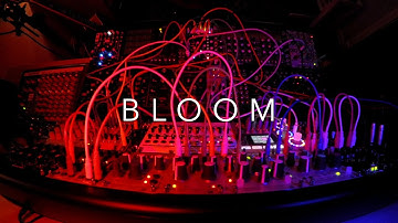 BLOOM | Generative | Eurorack Modular | qu-bit bloom