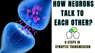 6 Steps In Synaptic Transmission. How Neurons Communicate?