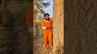 Bache Ny Tree Cut Hony Nahi Dia