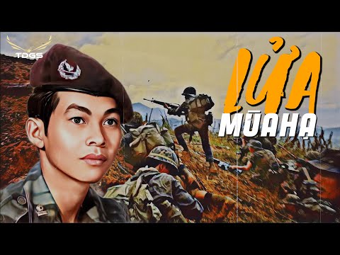 Cảm Nhận Ca