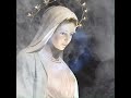 The Rosary is the supreme holy habit to clear the heart from all 'defilements'.