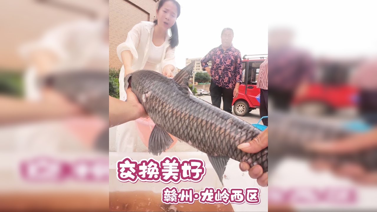 鱼换万物 感谢美女的信任，