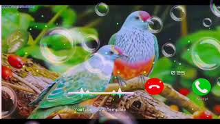 Sad Ringtone 2022 Friend