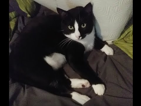 Nappy Nap Time - YouTube