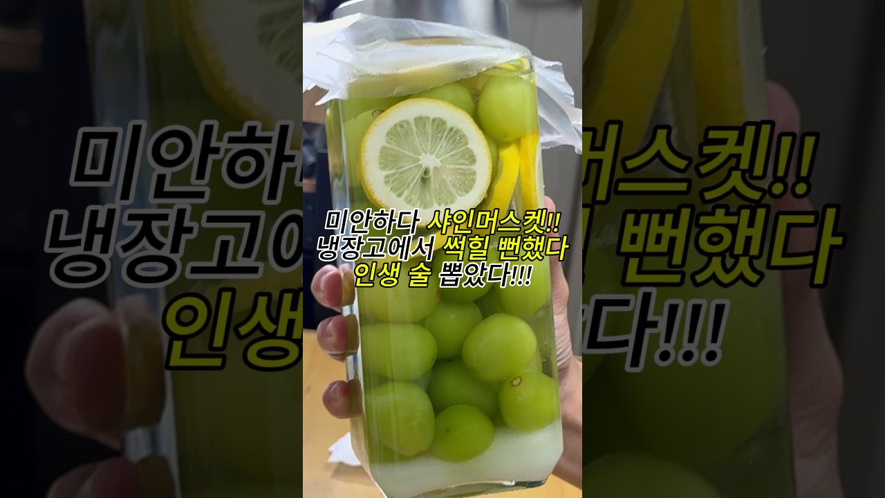 처치 곤란 샤인머스켓에 보드카 부었더니 영롱함 미쳤음 레시피 숏폼 썸네일
