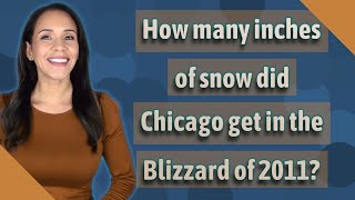 How many inches of snow did Chicago get in the Blizzard of 2011?