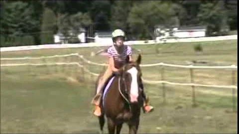 Learning to Gallop
