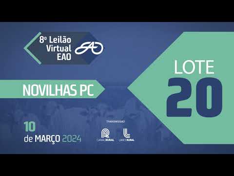 LOTE 20