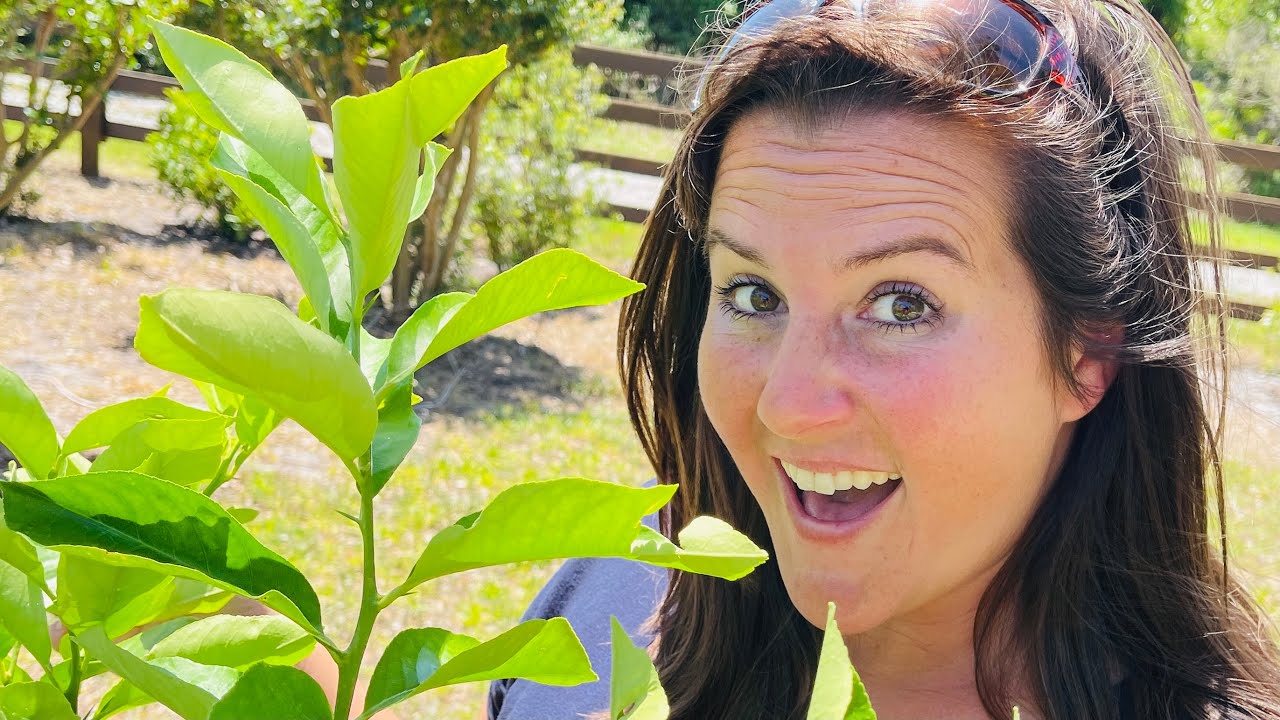 This Will Provide For Generations!