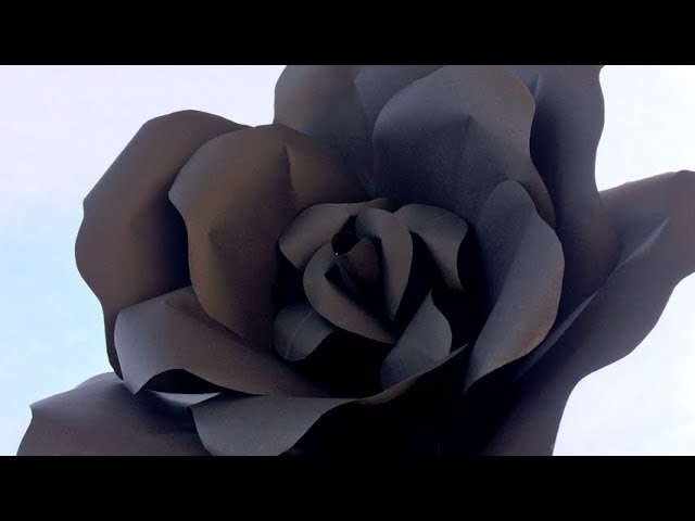 How To Make Paper Black Rose Flower, DIY Paper Flowers