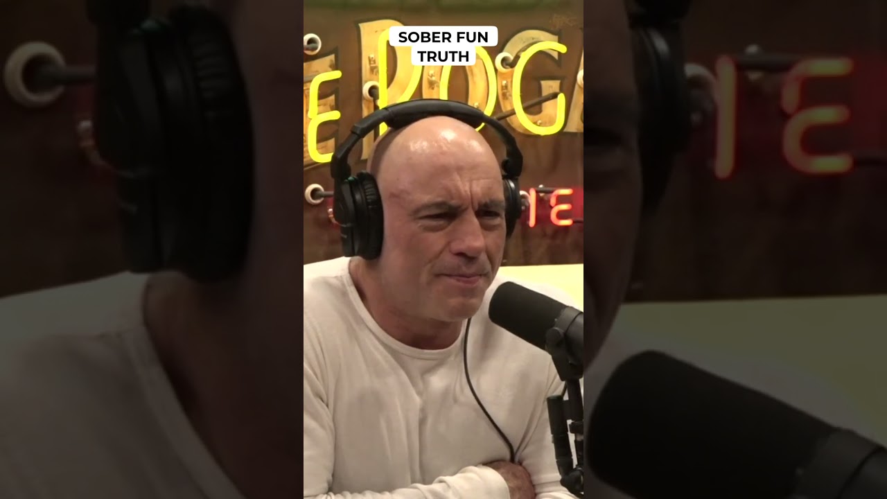 Sober Fun Truth - AJ Gentile 