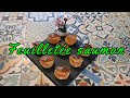 🎄🥐🐟🧀 Feuilleté saumon et fromage frais, parfait pour l’apéritif.✨
