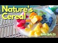 NATURE'S CEREAL FRUIT BOWL | DANIEL FAST RECIPES | VEGAN | CEREAL SUBSTITUTE