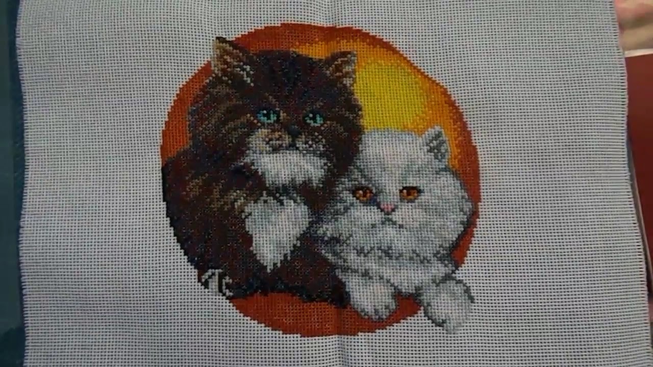 Вышивка крестом персидский кот