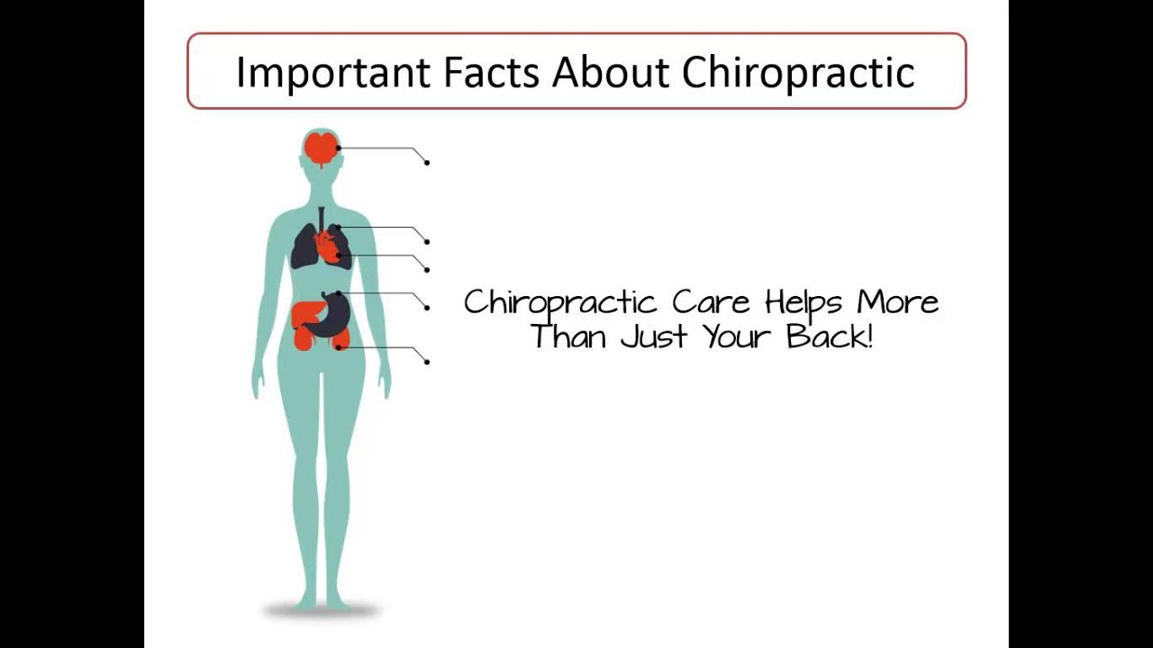 Just Back Pain in Frederick? - Dr. Steven Digles