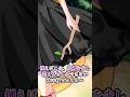#shorts 偽物エクスカリバー【・東方物語】ゆっくり茶番劇 #ゆっくり茶番劇