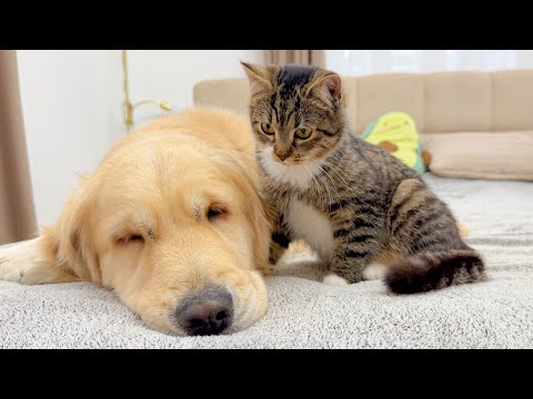 Blue October - I Hope You