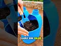 ¡Cosecha SIN TIERRA! 🥬 Aprende Hidroponía desde cero #shorts #hidroponía