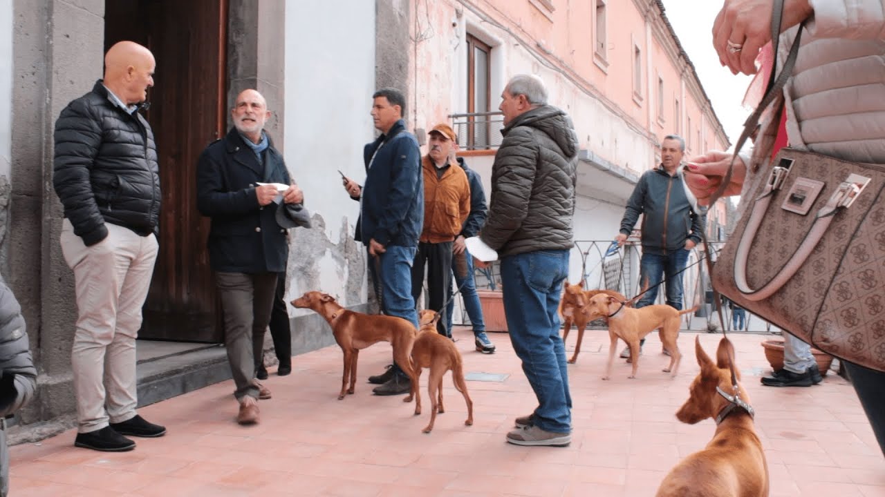 Convegno e raduno nazionale cirneco dell'Etna - 3° Giornata della cultura Adrano